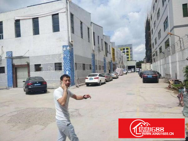 主干道旁！清湖头标准1楼650平厂房出租，空地超大，出入方便