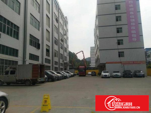 金凤凰工业园5.5米高一楼1450平米低价招租！！