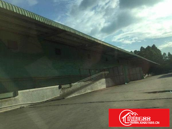 陈江独院70000平方12米高钢结构厂房（可分租）