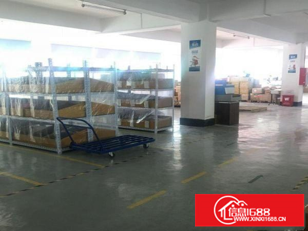 坂田厂房出租简单装修租金实惠直租无中介