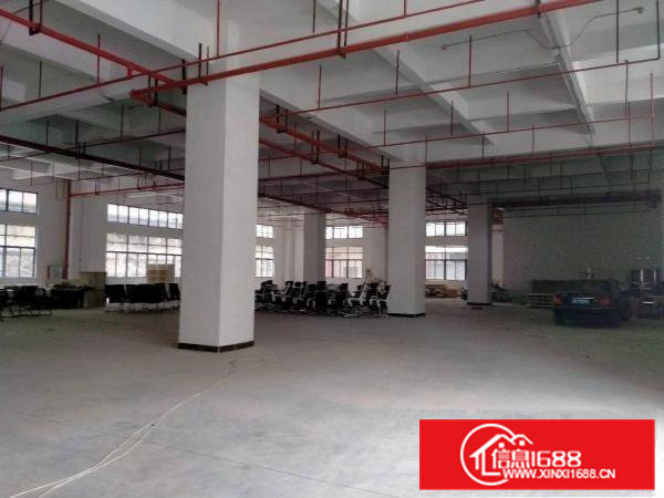 东莞大朗松木山原房东一楼1800平方出租可分租