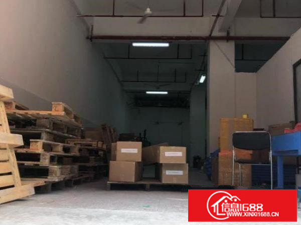 大浪布龙路一楼厂房500平