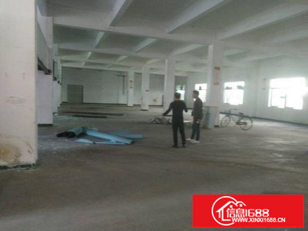 平湖山厦大望工业区一楼厂房1200平方急租