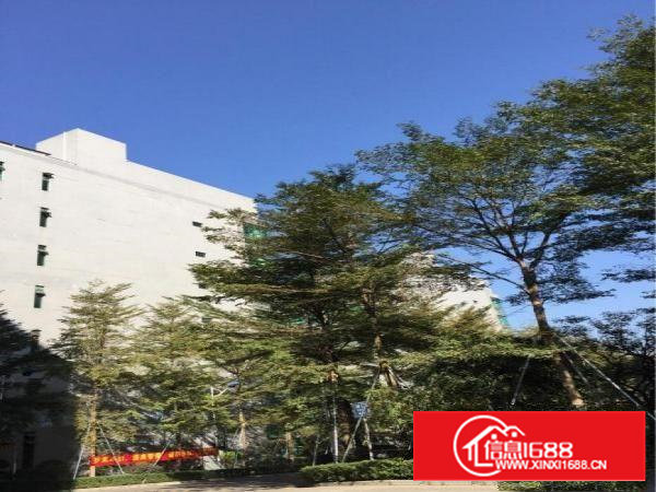 宝安兴东地铁站站高新科技园1200平米厂房出租