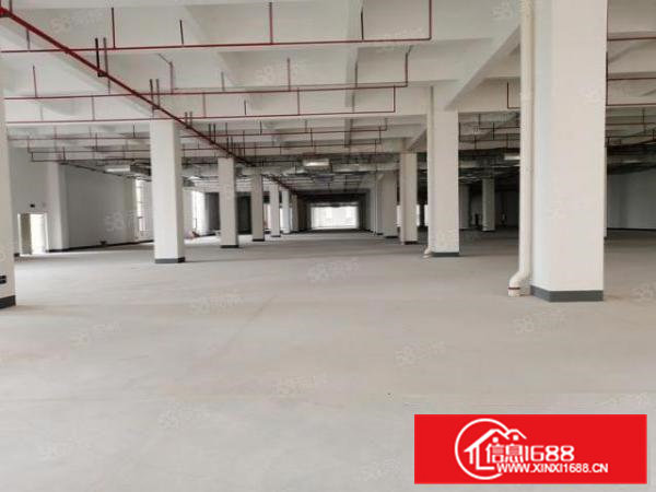 寮步镇原房东国有双证29998平方独门独院厂房招商