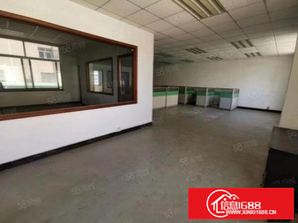 横沥新出原房东独门独院标准厂房