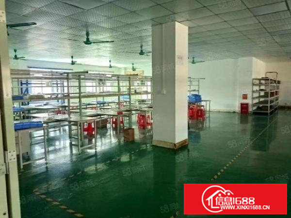 新出楼上精装修厂房出租一整层面积3500平方，带办公室有宿舍