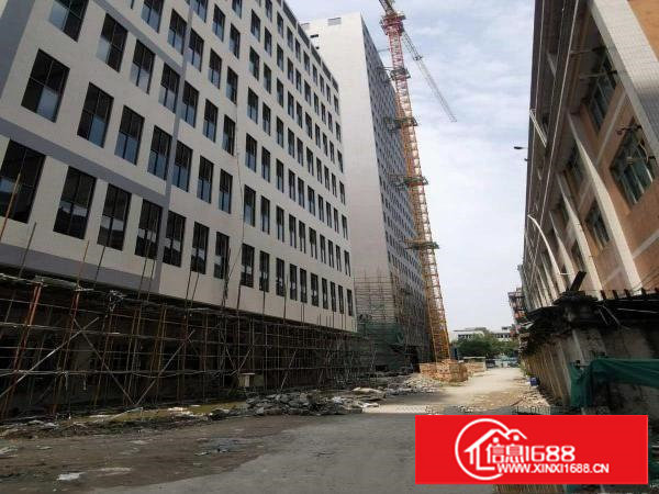 全新15155平方高端厂房，可分租，采光充足，水电齐全