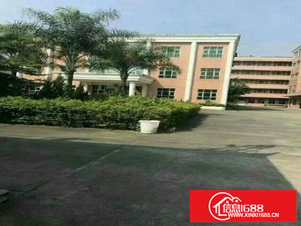 清溪三中标准二楼500平方，精装修刷好地坪漆超靓