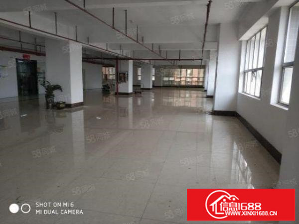 龙岗布吉10号线李朗站1000平标准厂房出租
