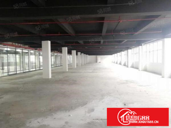 坂田高新园区1000平企业总部研发电商园厂房开发商招租