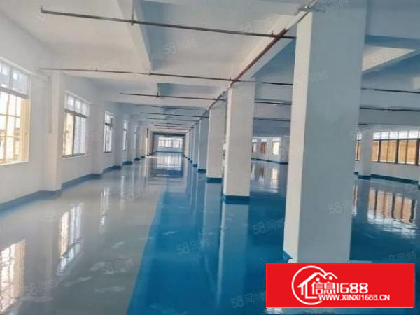 万江简沙洲精装修标准厂房650出租，全新货梯及地坪漆