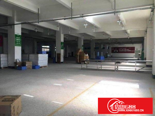 塘吓路口原房东标准一楼800平方厂房出租主线已到位