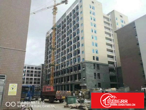 新出！12万平！可商业可工业！坑梓新出12万平厂房！可分租！