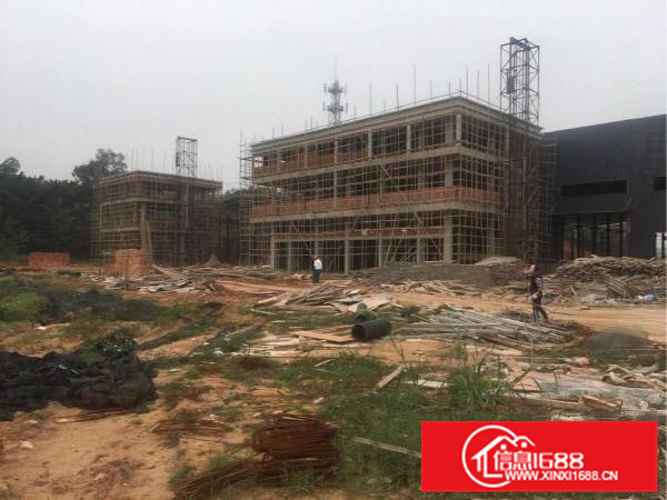 虹领路独门独院全新厂房出租