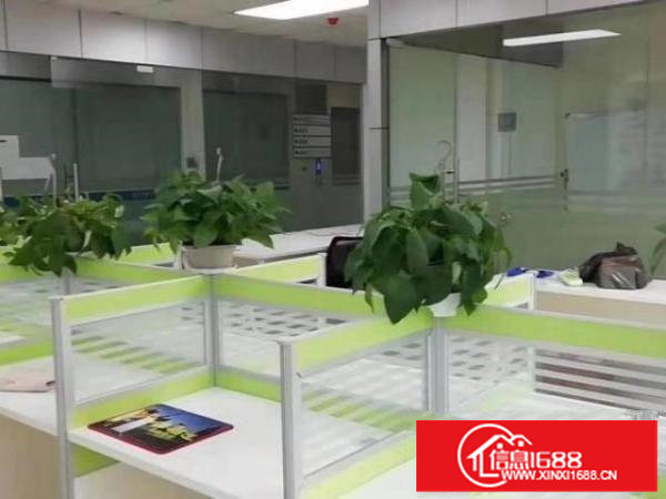 五和地铁口办公室大小面积招租，交通方便，带工作卡位