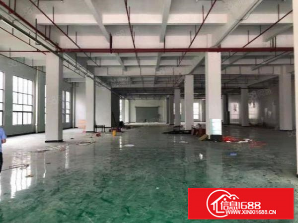 北滘港标准首层2500丙二类消防国有土地证独门独院a