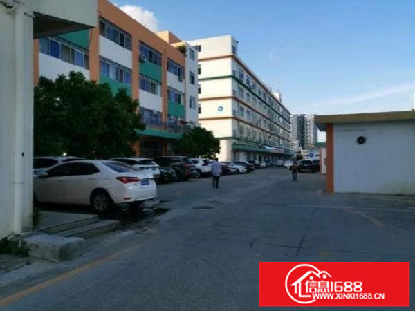 横岗六约沃尔玛附近园区红本厂房3楼1580平方招租