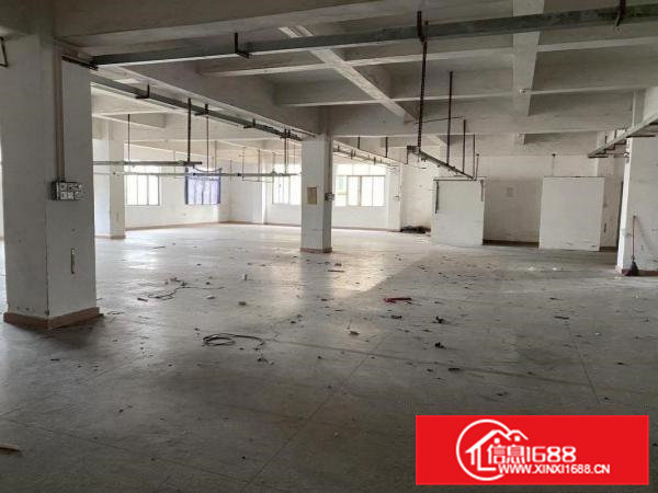虎门白沙实际面积一楼700方厂房18元一平方出租