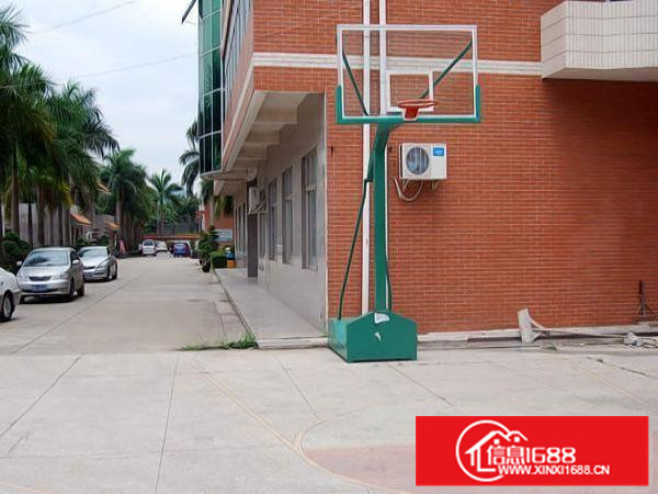 带装修哇！哇！哇！每平10元带装修仲恺惠