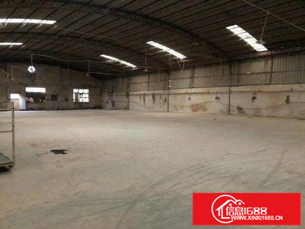 大岭山107国道边新出原房东独院1800平方厂房出租空地大