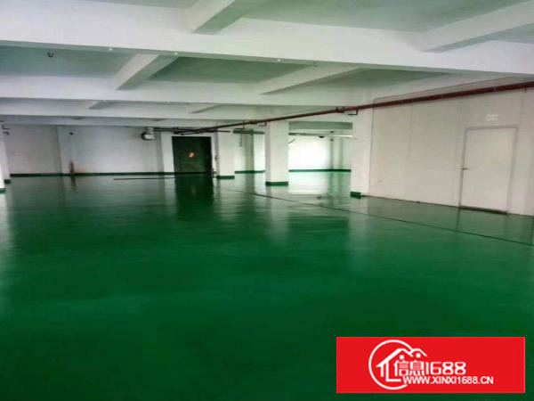 长安沙头358省道边上新出四楼650平方，全新地坪，主线到位