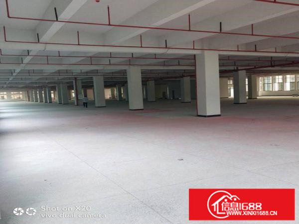 企石镇独门独院标准厂房出租