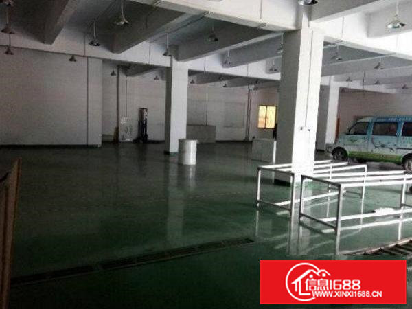 常平上坑原房东一楼带地坪漆办公室水电600平