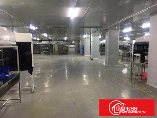 二三楼各1500平，现成万级无尘车间，所有线路齐全，