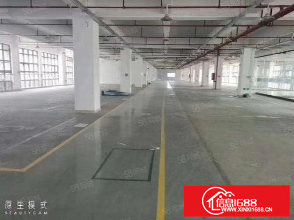 松岗高速出口新出原房东二楼整层2600平方厂房分租无公摊