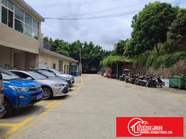 松岗大田洋带红本一楼标准厂房1000平层高6米