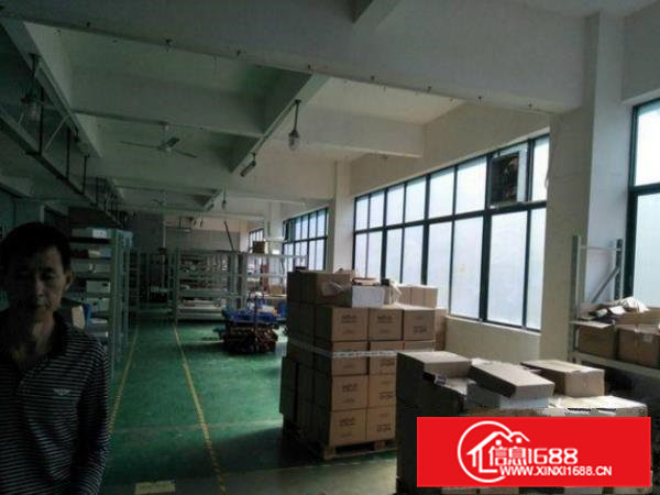 常平卢屋一楼950平厂房出租带现成装修办公室