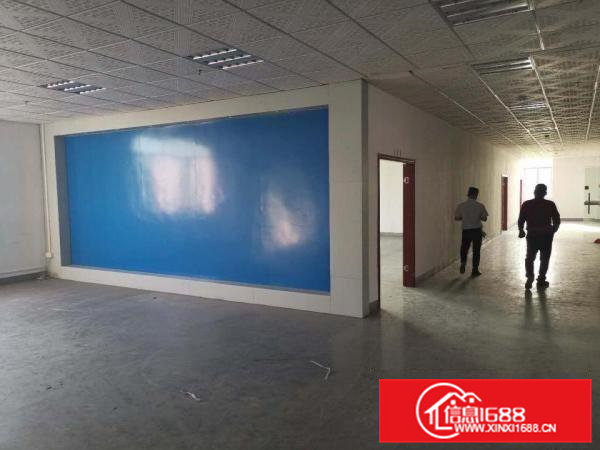 原房东厂房清溪三中高速出口独院一楼高度5米1300平出租