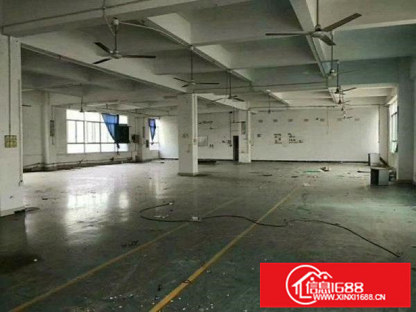 横岗大康经典3层独院厂房带精装办公室出租