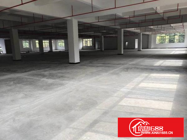 全新可分租厂房6层15000平首高7.5米带喷淋