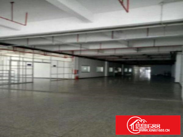 高埗工业区标准一楼2000平方招租水电齐全带消防喷淋