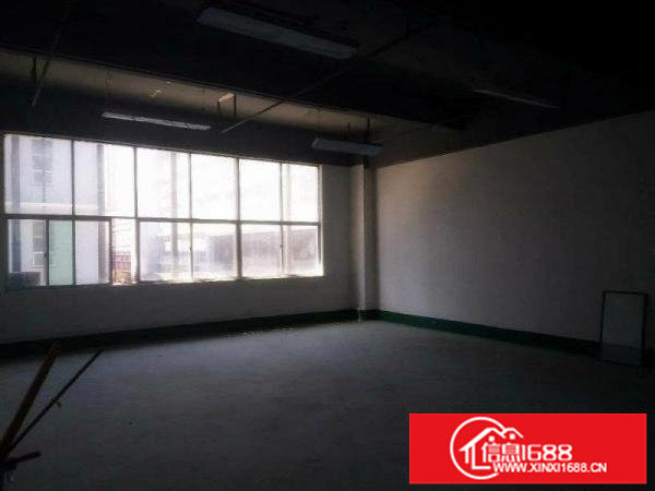 国际低碳城精装修4层独院3600平米14元