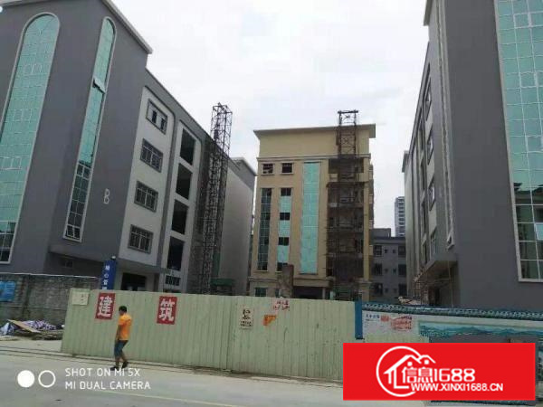 标准厂房出租国有工业用地可办环评工业区厂房易招工可分租