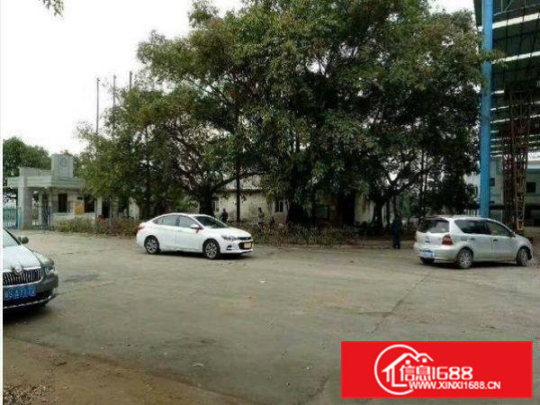 清溪清厦新出1200平高9米钢构厂房招租