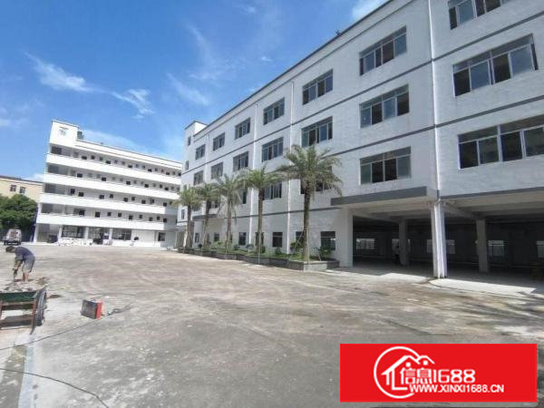 龙岗宝龙街道标准厂房一楼1290平方出租，可分租电有630