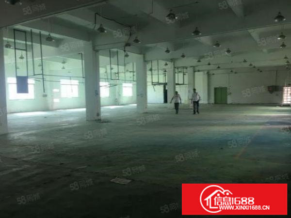 安良原房东4200平方独院厂房出租