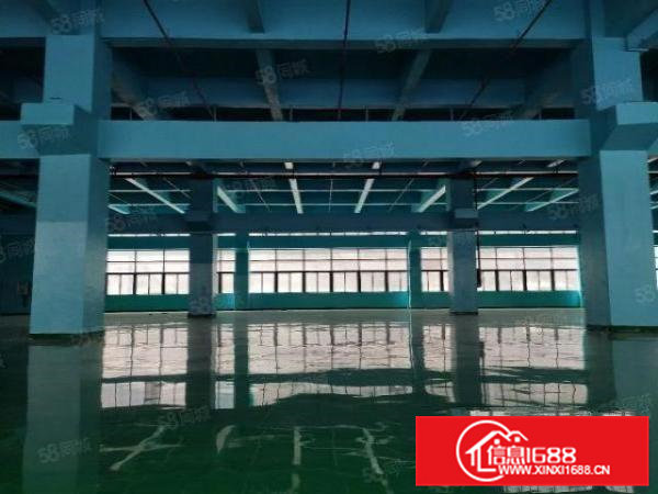 凤岗金凤凰东深二线边6米高一楼2000平厂房出租，大小可分租