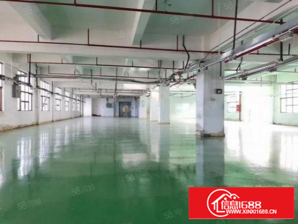 凤岗雁田出租2楼1500平豪华装修办公室水电齐全现房