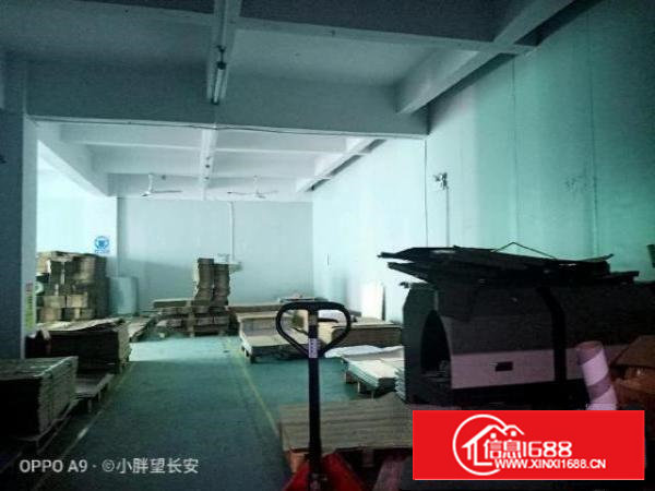 （非中介）业主直租厂房