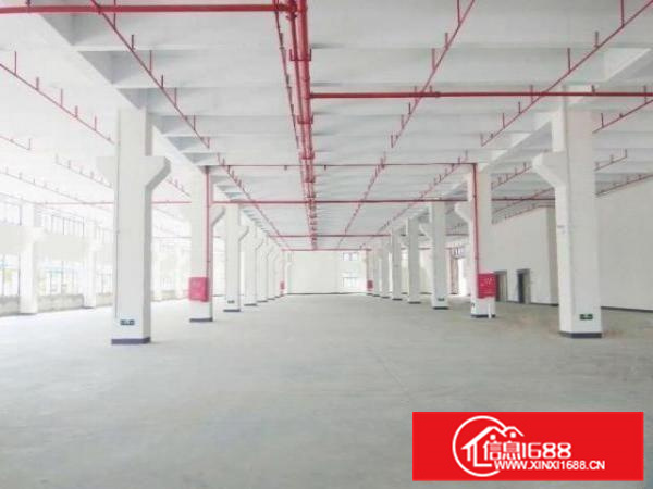 佛山顺德区均安镇全新厂房三栋约57000平方左右