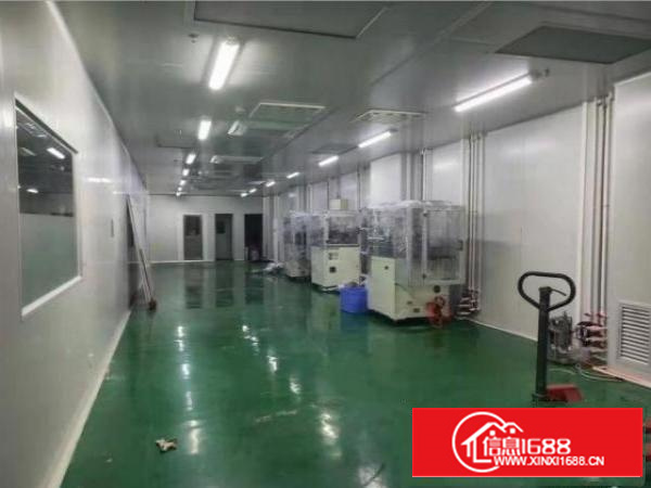 石排庙边王新出楼上带无尘车间810平厂房，实际面积出租