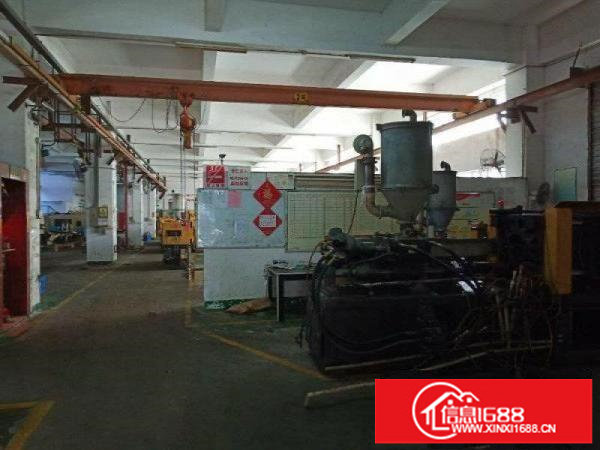 坪山大工业区新出标准一楼6米高3000平方出租红本厂房