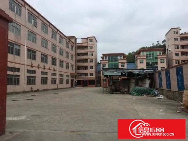 平湖富民工业区原房东精装修厂房1200平方