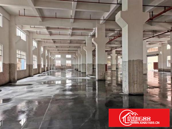 石排镇大型工业区一手厂房招租