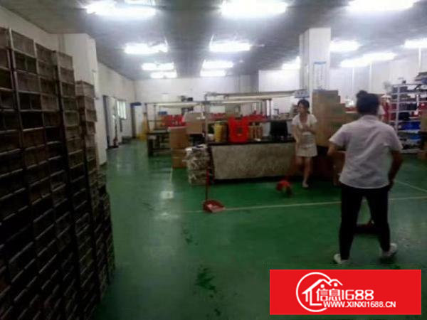 出租桥头镇桥头城区300平方精装修厂房，适合各种小加工